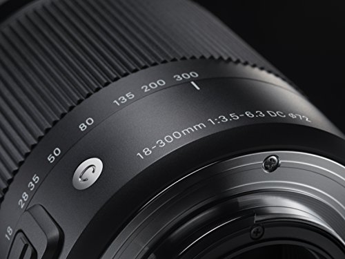 18-300mm F3.5-6.3 DC MACRO OS HSM | Contemporary 6