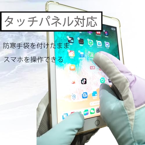 スキーグローブ 2