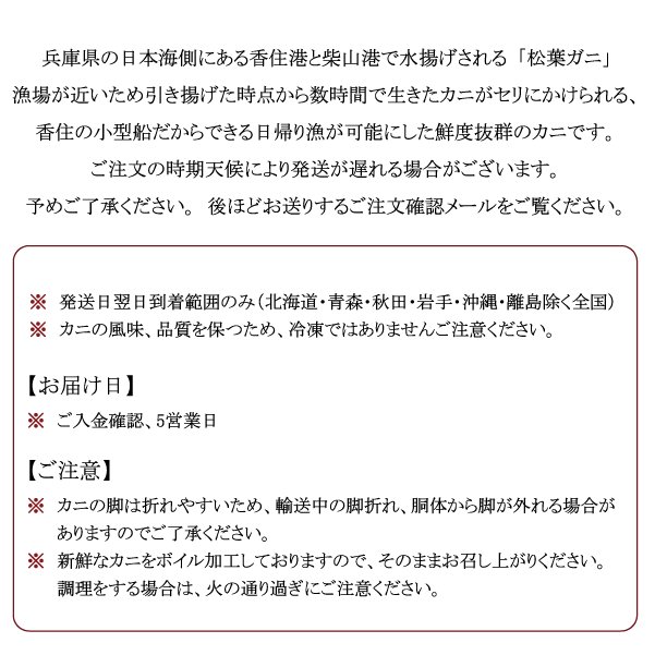 松葉ガニタグ付き 7