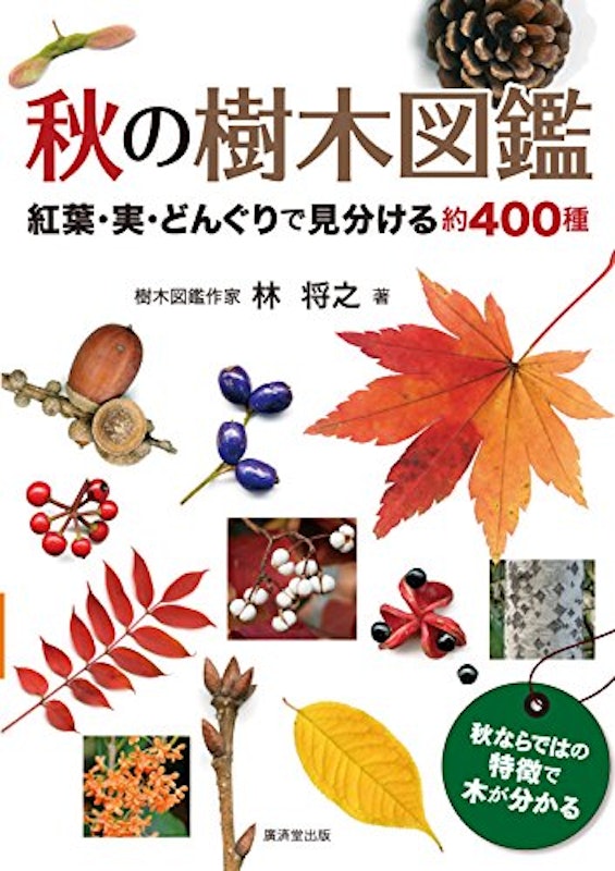 21年 樹木図鑑のおすすめ人気ランキング10選 Mybest 21年 樹木図鑑のおすすめ人気ランキング10選 Mybest