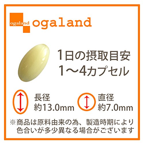 アンセリンカプセル 2