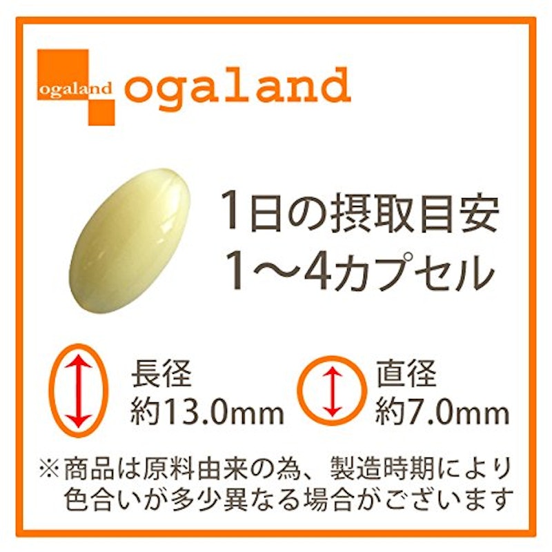 アンセリンカプセル 2