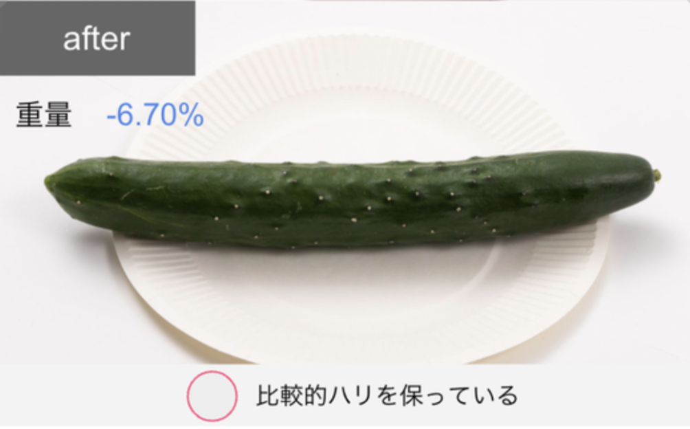 冷蔵庫 19