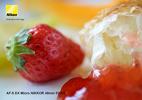 AF-S DX Micro NIKKOR 40mm f/2.8G 3
