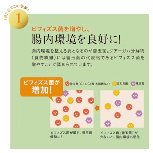 リセットファイバープラス 3
