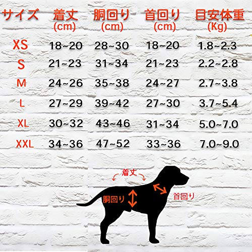 犬服 水玉シャツ 7