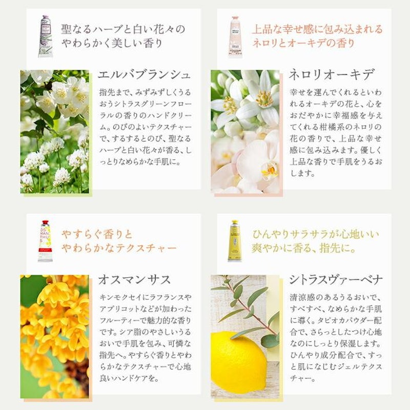 フラワーボックス セット 5