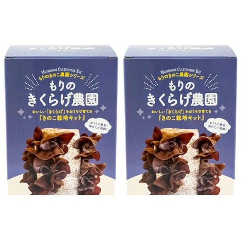 もりのきくらげ農園 栽培キット 1