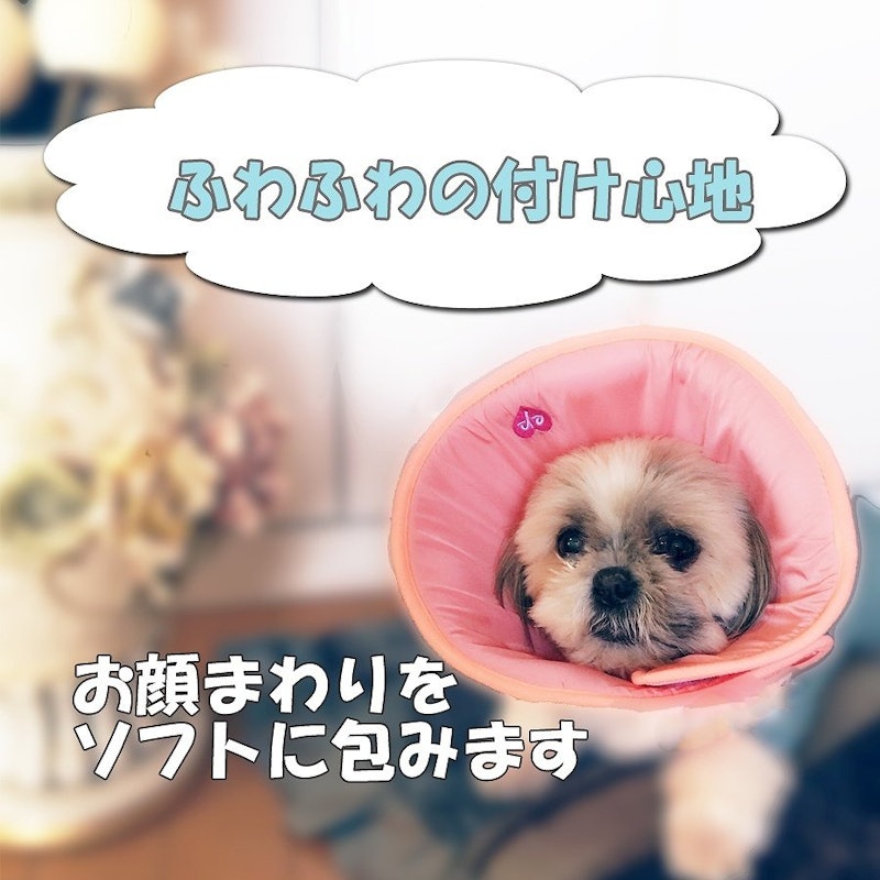 エリザベスカラー 2