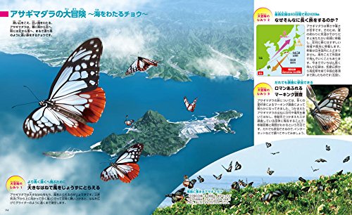 講談社の動く図鑑MOVE 昆虫 新訂版 2