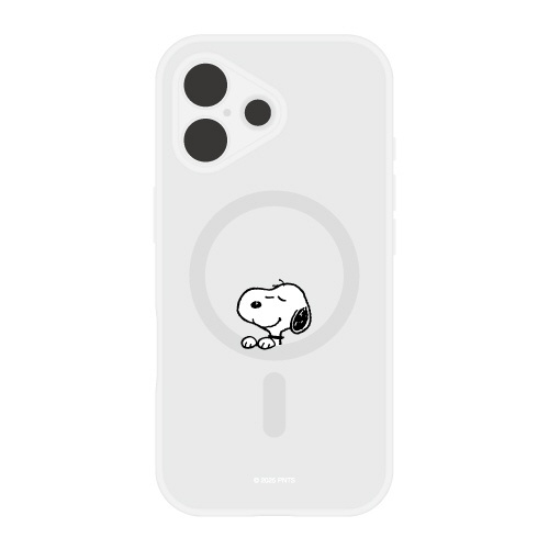 プランプフレームケース 1