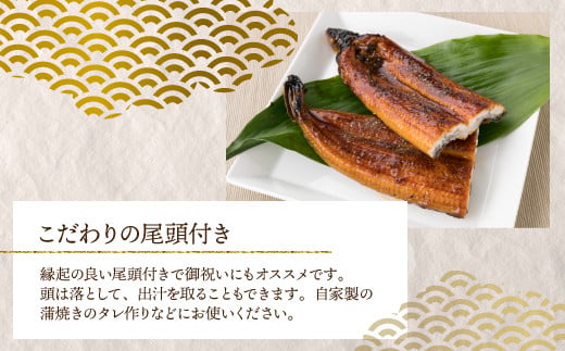 うなぎの蒲焼 5
