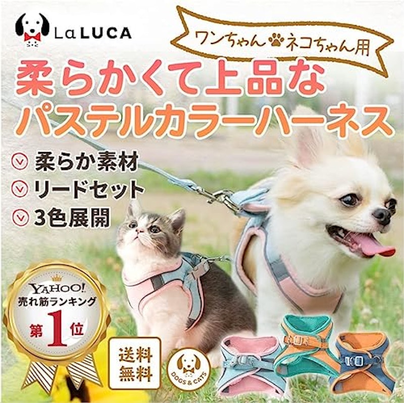 ハーネスリードセット 2