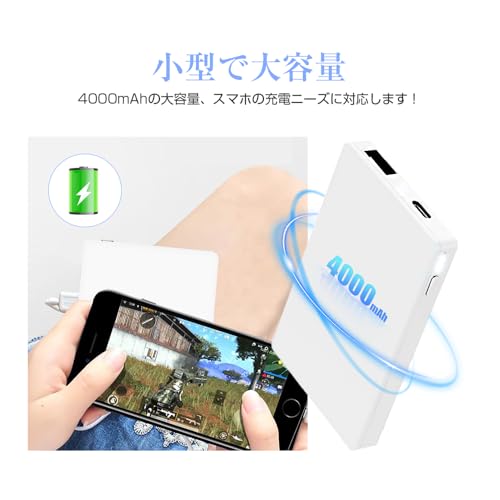 モバイルバッテリー 2