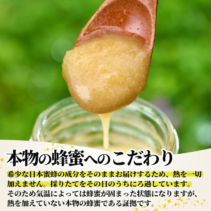 幻の蜂蜜 3