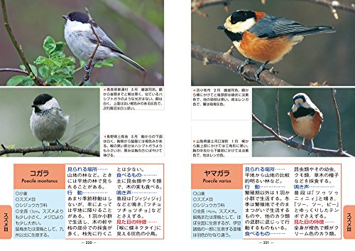 野鳥図鑑のおすすめ人気ランキング【2025年】 | マイベスト