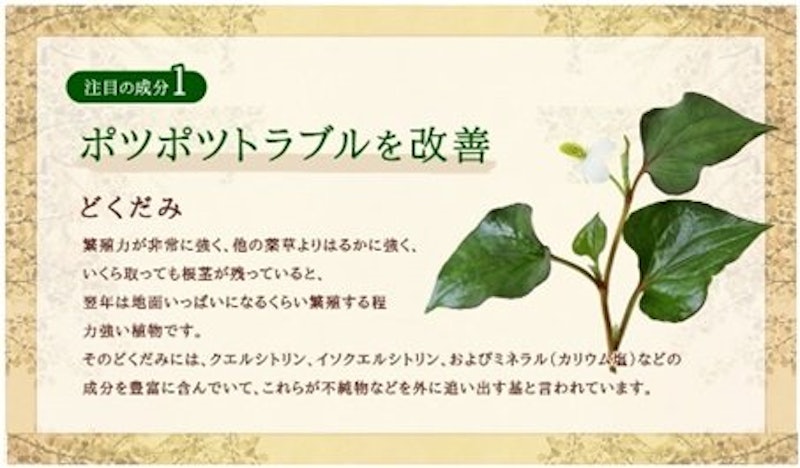 どくだみ&アロエ 3