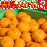 青島みかん 優  1