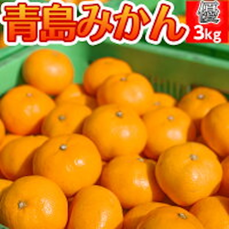 青島みかん 優 1