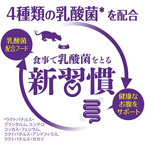 ウェルネスコア（高たんぱく質・穀物不使用）子猫用（離乳期～1歳） 骨抜き七面鳥 4