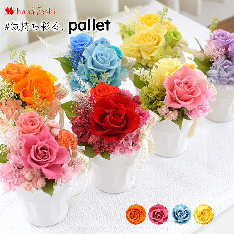 青薔薇 ブリザードフラワー 小物 直径約18cm（ブリザード