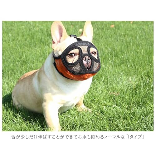 犬用口輪 3