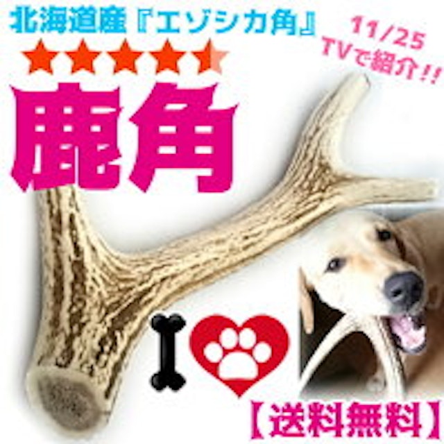 犬用留守番おもちゃのおすすめ人気ランキング10選 Mybest 犬用留守番おもちゃのおすすめ人気ランキング10選 Mybest