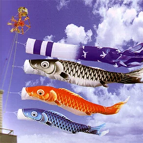 ベランダ向け鯉のぼりのおすすめ人気ランキング | マイベスト