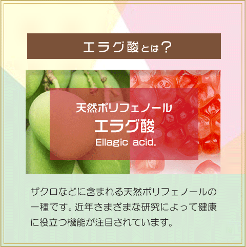 エラグ酸サプリ 2