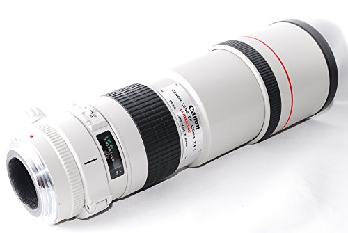 ★美品★ キヤノン CANON EF 200mm F2.8 L USM ❁動作良好❁CANON EF 200mm F2.8 L USM キャノン
