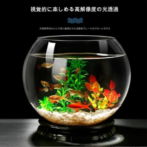 金魚鉢 6