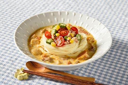 讃岐うどん  4