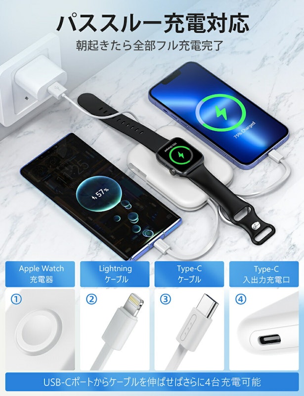 モバイルバッテリー 5