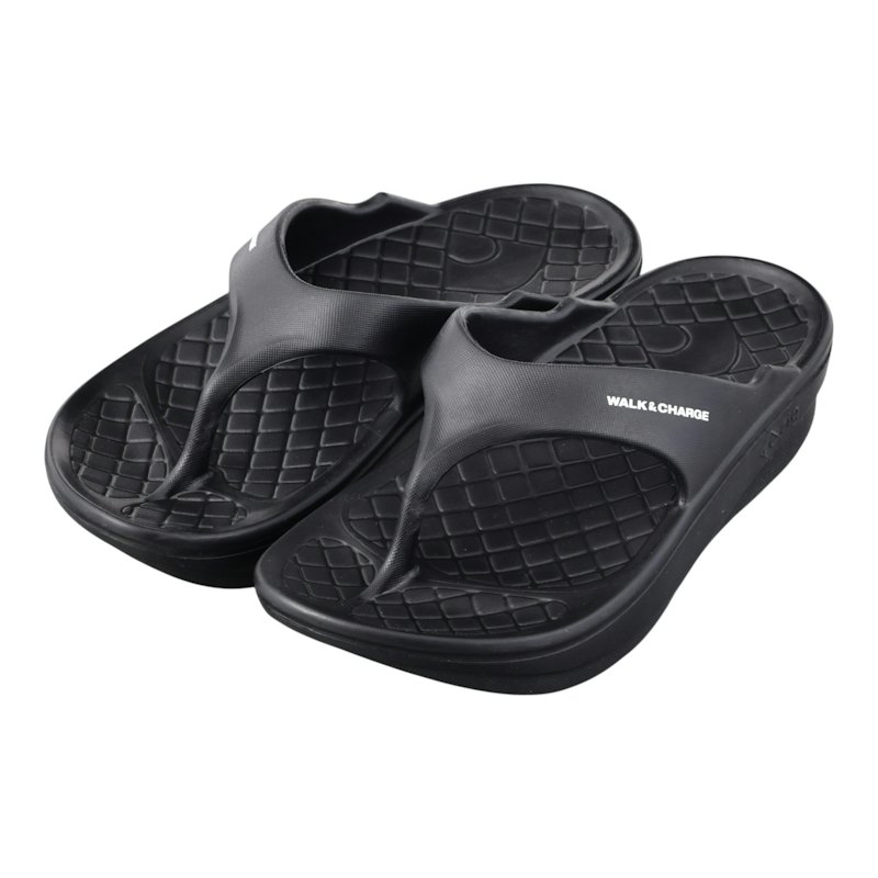 Flip Flop 2.0 1