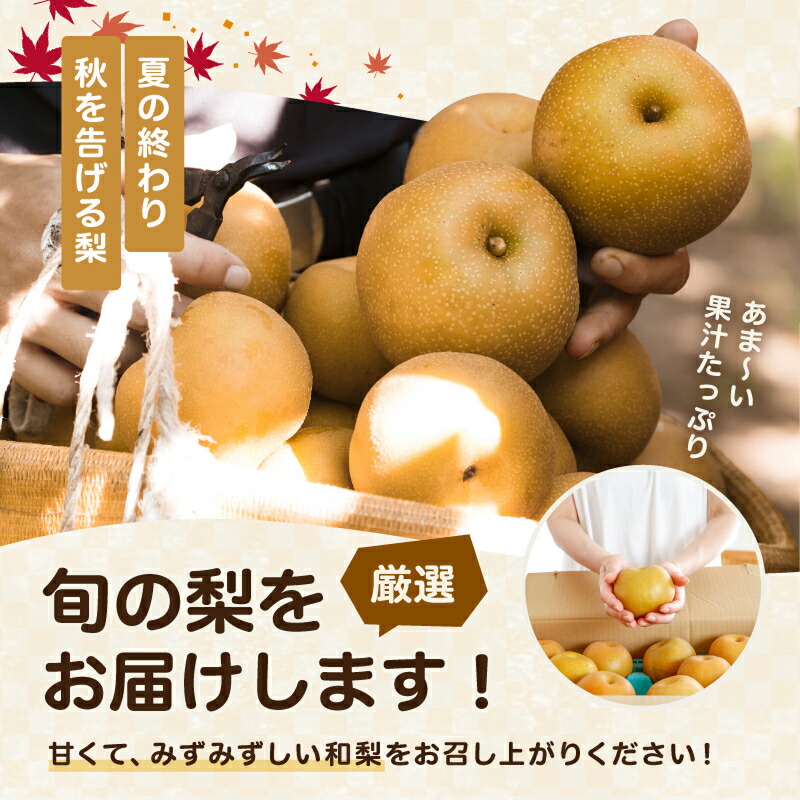 南信州産 訳あり和梨 2