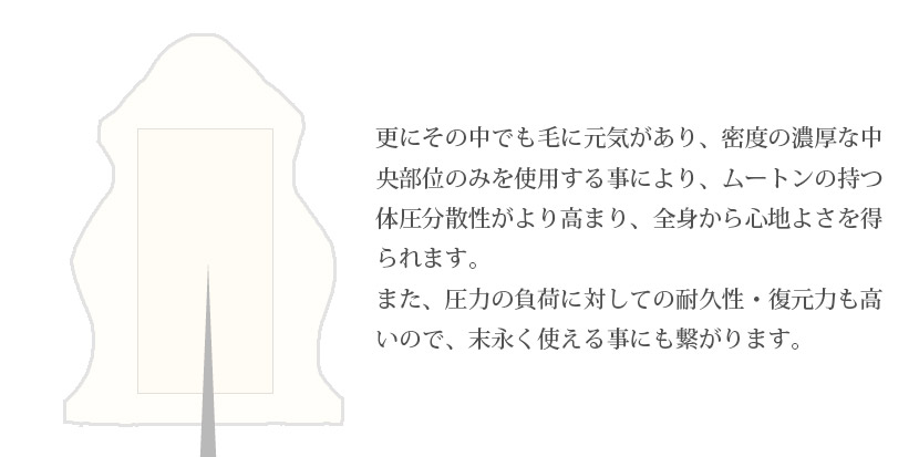 ムートンシーツ Latte 4