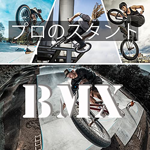 ORDlBMX 2