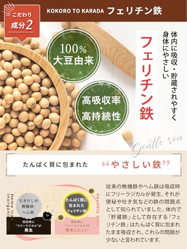 ココロとカラダ フェリチン10 3