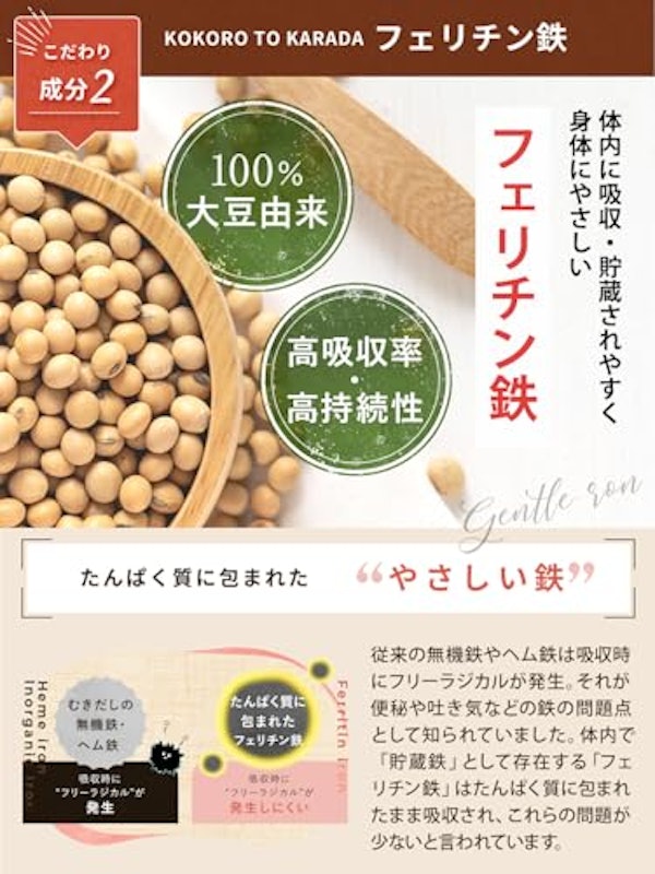 ココロとカラダ フェリチン10 3
