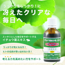 イチョウキング  2