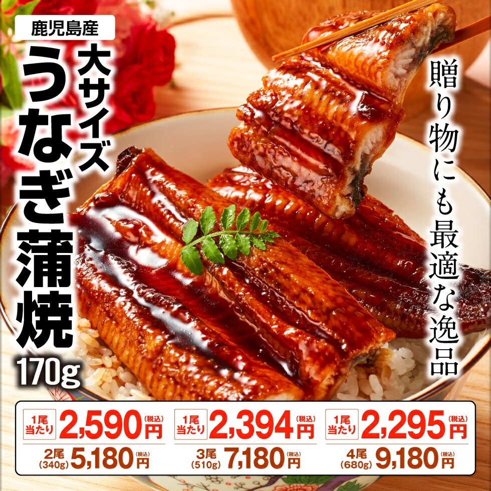 うなぎ蒲焼 2