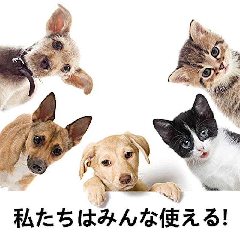 猫 食器 陶器 3