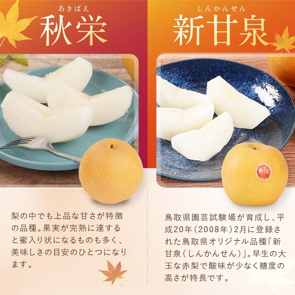 梨の食べ比べ 4種類コース 2