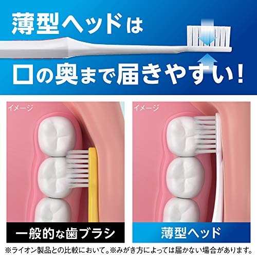 ハブラシ しっかり毛腰タイプ 2