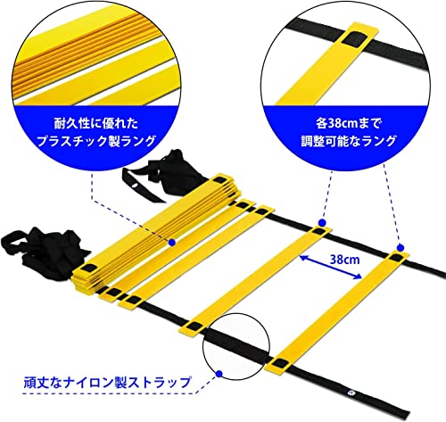 トレーニングラダー 2