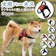 LaLUCA ウェアハーネス 1