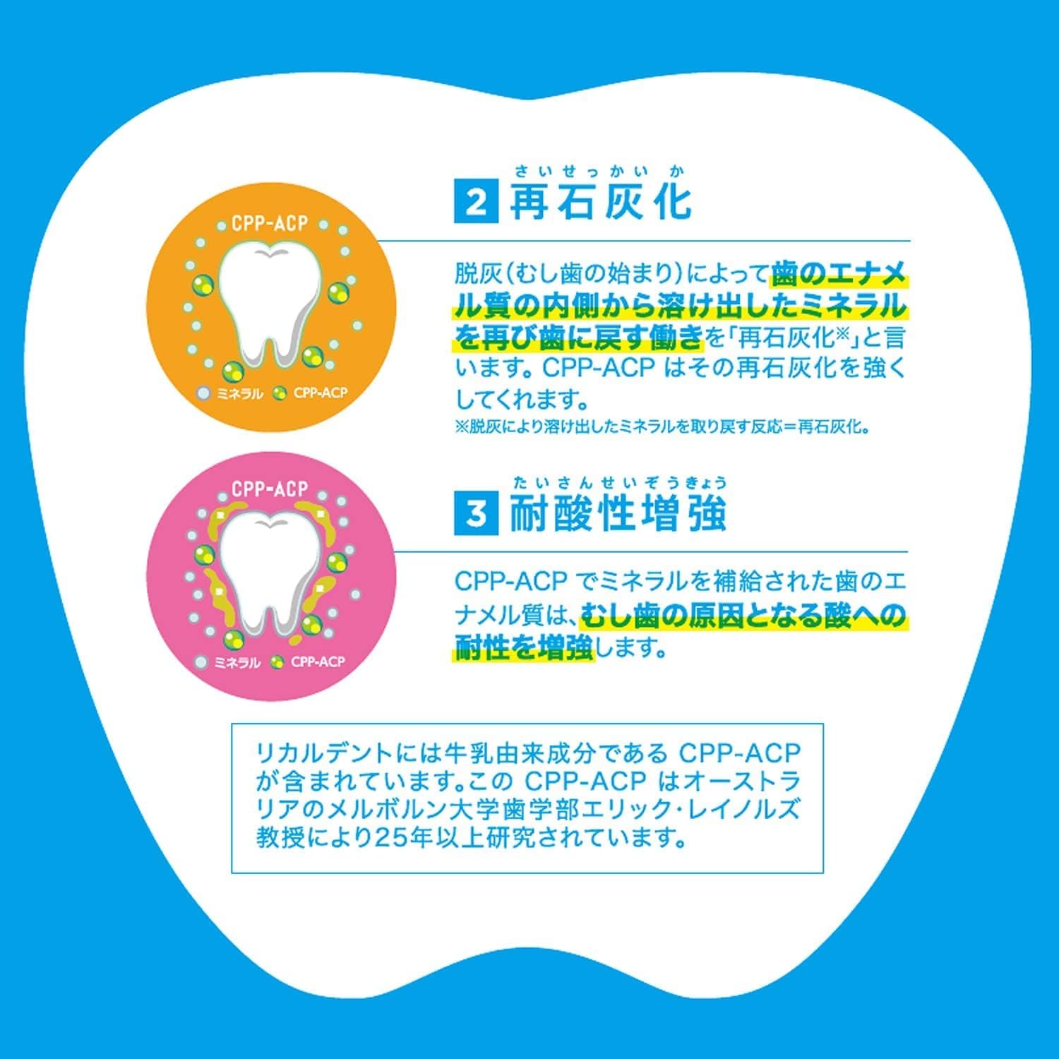グレープミントガム  6