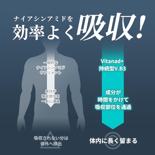 持続型 ナイアシンアミド サプリ 5