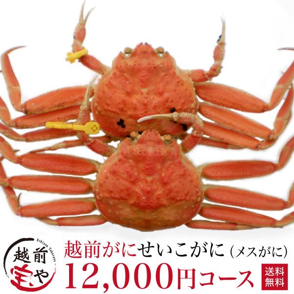 越前ガニ通販のおすすめ人気ランキング【2026年5月】 4