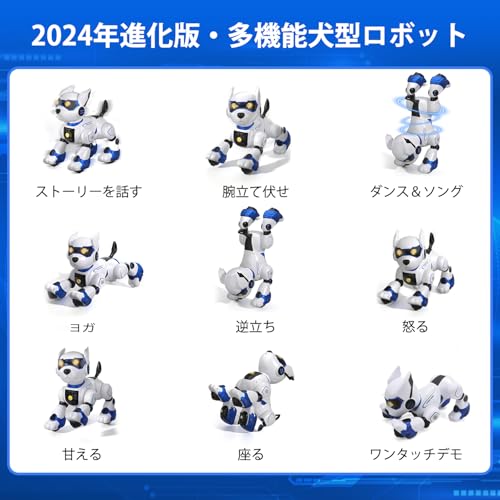 すすめ！！パイレーツ すすめ！！パイレーツ